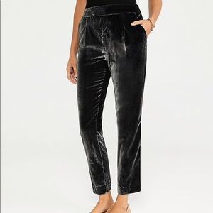 Ann Taylor Velvet Ankle Pant NWT
